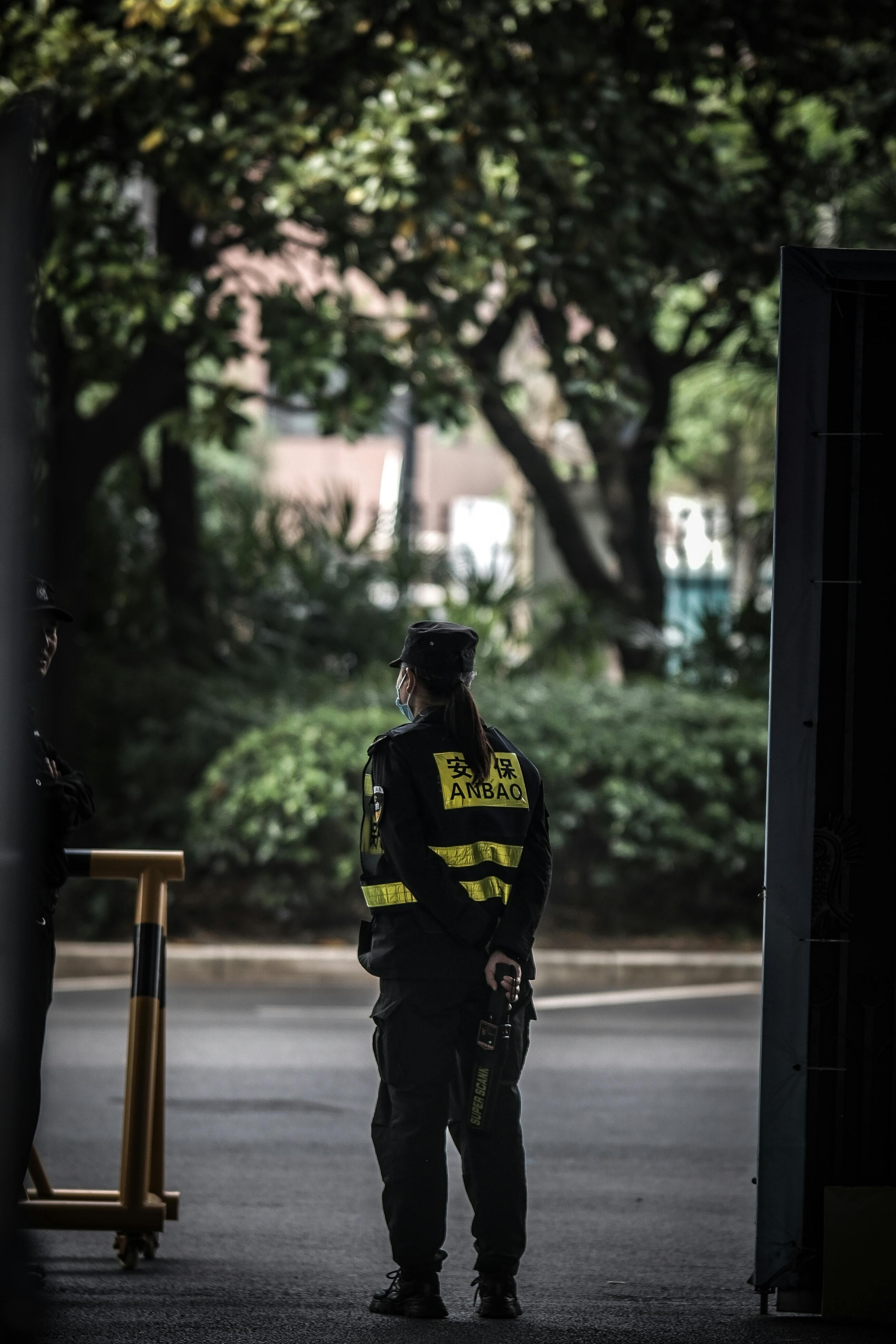 Professional security team